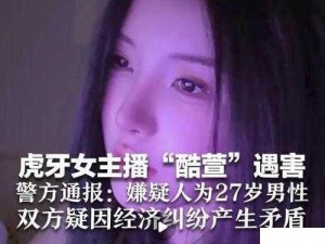 虎牙主播西北北直播风格与内容深度解析