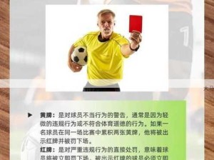 绿茵战场全攻略，铸就你的球场风云传奇之路