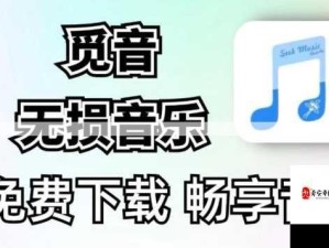 高清MV免费观看指南：如何畅享无损音乐视频？