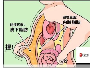 肚子鼓胀的元凶：珠子是否在作怪？