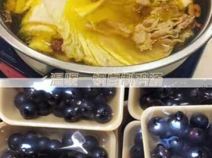 烹饪日记，四人餐厅升级菜谱与全面进阶经营宝典