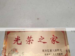 荣耀之宅：镇守安宁的光荣之家