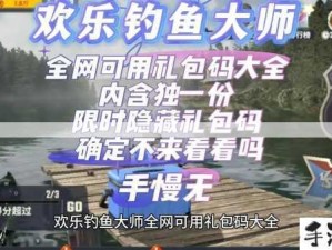 钓鱼大师游戏深度攻略，掌握资源管理的精妙艺术