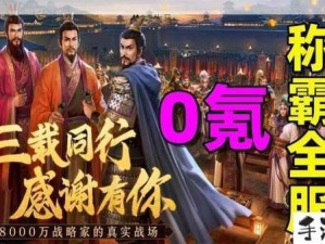 紫色武将，揭秘三国志战略版中的隐藏战力宝藏