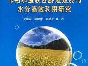 冰原守卫者铸造模具秘籍，资源管理高效利用避免浪费