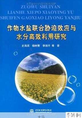 冰原守卫者怎么铸造模具，资源管理、高效利用与避免浪费