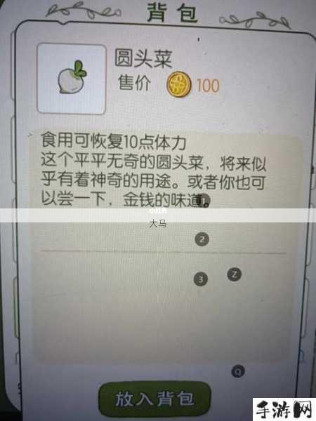 小森生活金贝壳有何用处，常见道具作用分析及其在资源管理中的重要性